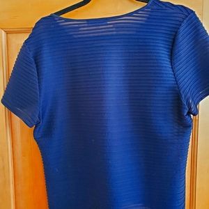 EUC Calvin Klein Sheer Unicolor Striped Blouse Sz L